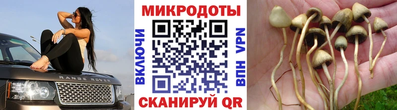 hydra tor  Лянтор  Галлюциногенные грибы прущие грибы 